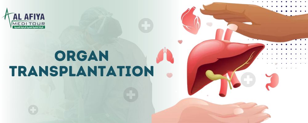 Organ Transplant in affordable price